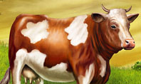 Cow On The Nature Presentation Template
