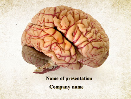 Human Brain As Anatomical Preparation Presentation Template, Master Slide