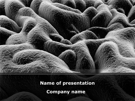 Gastric Mucosa Presentation Template, Master Slide