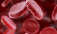 Red Blood Cells Stream Presentation Template