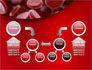 Red Blood Cells Stream slide 19