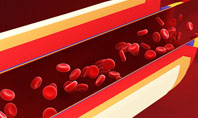 Blood Flow Presentation Template