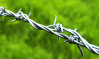 Barbed Wire Fence Presentation Template