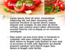 Sliced Tomatoes slide 2