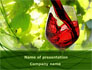 Red Winegrowing slide 1