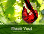 Red Winegrowing slide 20