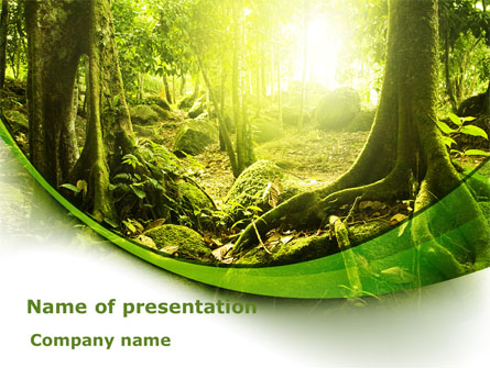 Jungle Forest Presentation Template, Master Slide
