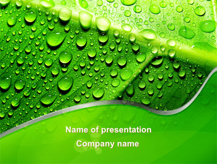 Dew In The Sun On A Green Leaf Presentation Template, Master Slide