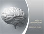 Human Cerebrum slide 1