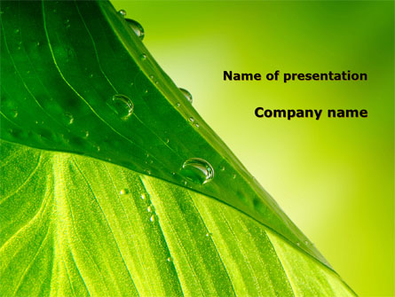 Green Leaf With Dew Presentation Template, Master Slide