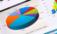 Pie Diagrams and Histogram Presentation Template