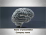 Human Brain Model slide 1