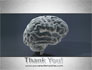 Human Brain Model slide 20