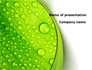 Green leaflet In Drops Of Dew slide 1