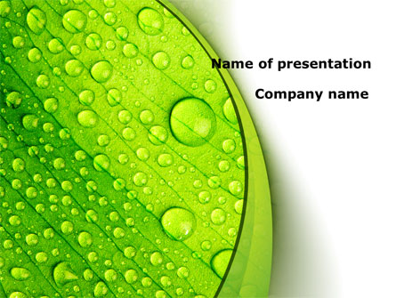 Green leaflet In Drops Of Dew Presentation Template, Master Slide
