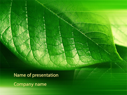 Shiny Green Leaf Presentation Template, Master Slide