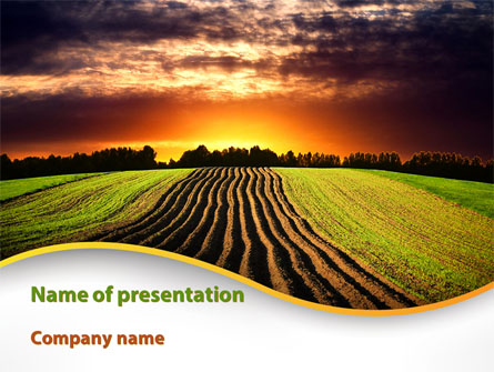 Arable Land At Sunset Presentation Template, Master Slide