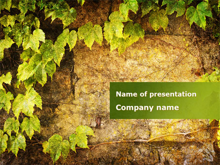 Wall Overgrown With Vines Presentation Template, Master Slide