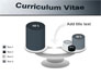 Ordinary Curriculum Vitae slide 10