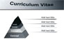 Ordinary Curriculum Vitae slide 12