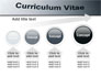 Ordinary Curriculum Vitae slide 13