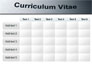 Ordinary Curriculum Vitae slide 15