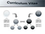 Ordinary Curriculum Vitae slide 19