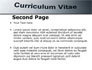 Ordinary Curriculum Vitae slide 2