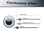 Ordinary Curriculum Vitae slide 3