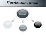 Ordinary Curriculum Vitae slide 4