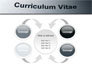 Ordinary Curriculum Vitae slide 6