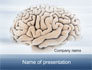 Human Brain Preparation slide 1