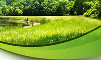 Meadow On The River Presentation Template