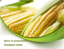 New Crop Of Maize slide 1