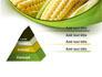 New Crop Of Maize slide 12