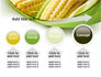 New Crop Of Maize slide 13