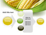 New Crop Of Maize slide 17