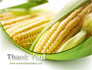 New Crop Of Maize slide 20