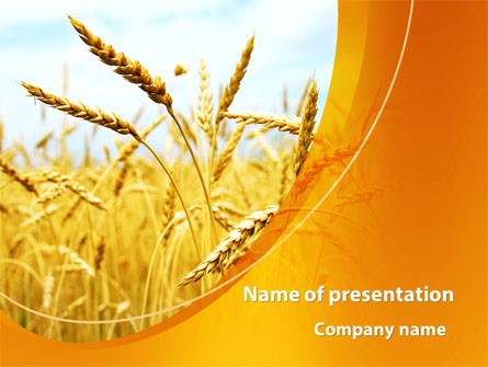 Golden Ear Of The Wheat Presentation Template, Master Slide