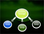 Ecology Computer slide 4