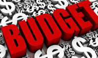 Government Budget Presentation Template