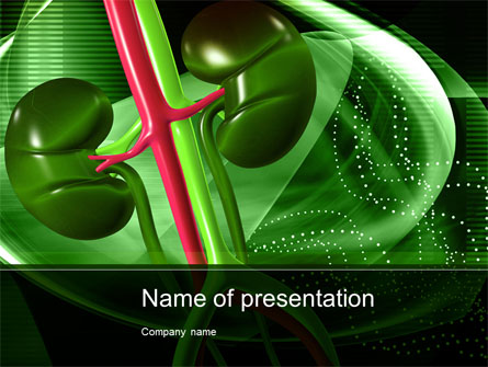 Human Kidneys Presentation Template, Master Slide