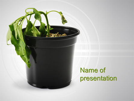 Withered Plant Presentation Template, Master Slide