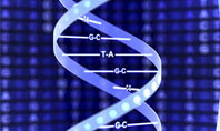 Strand of DNA Presentation Template