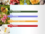 Variety of Flowers slide 3