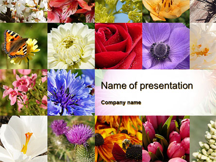 Variety of Flowers Presentation Template, Master Slide