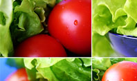 Lettuce and Tomato Presentation Template