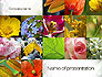 Flowers Collage slide 1