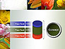 Flowers Collage slide 11