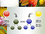 Flowers Collage slide 19